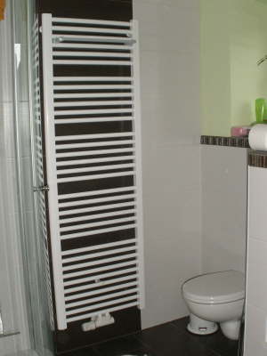 Altbausanierung Bad - nachher